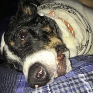 Meet your Posher, Jerod